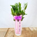 식물 인테리어 | 개업선물 플랜테리어 화분 제작 후기｜무인매장 공기정화 인테리어식물 추천