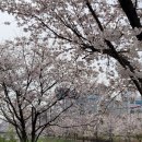 한우기획