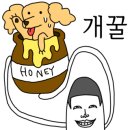 체다홀릭 이미지