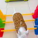 멍쓰홀릭 이미지