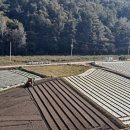 여유누리 이미지