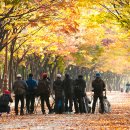 느티나무길 이미지