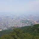 앞산강아지