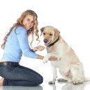 우성동물병원 이미지