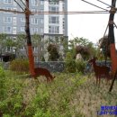 고려리치공인중개사사무소 이미지