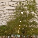 판암동155 이미지