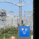 04. 미나리와 줄리엣