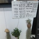 달콤푸룻