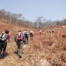 관동마을 진입로 이미지