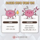 안양경희한의원 이미지