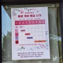 세종 베어트리파크 입장료 2026 봄꽃 축제 어린이날방문 솔직후기