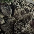 괸당네파전 이미지