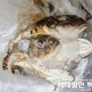 대구횟대 손질법과 매운탕 만들기(feat. 흥국농수산)