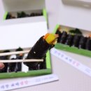 상무김밥 이미지