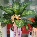 한우리독서토론논술반곡교습소