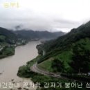 우듬지 이미지