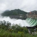 신안장 이미지