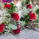 백석초등학교 병설유치원 이미지