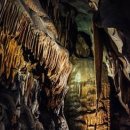 동양바이크 이미지