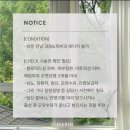 마리엘헤어 - 동구 | 마리엘헤어