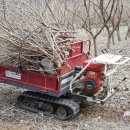 심복농장 이미지