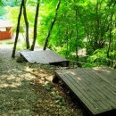 민주지산자연휴양림야영장 이미지