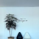 관포 | 경남 거제 카페 : 장목면 비건 브런치 카페 ‘관포60'