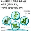 쿠팡 보다 싼 구강청결제 추천, 리스테린 쿨민트 한 달 리얼 후기와 올바른 가글 사용법
