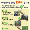 대관령자연휴양림 티스토리
