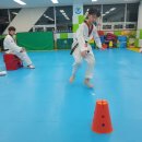 용인대 아이엘 태권스쿨 이미지