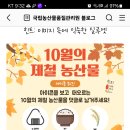 국립농산물품질관리원 아이콘 퀴즈(~10.20) 이미지