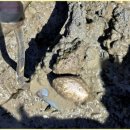 구공스테이 안토이 비토 이미지