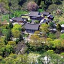 실안바다풍경 이미지