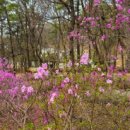 진달래약수터 이미지