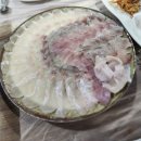 갈매기회센타 | 아야진항맛집 갈매기횟집, 모둠회 2인세트 내돈내산