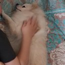 와와게임랜드 이미지