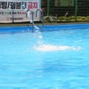 우리벨리펜션 이미지