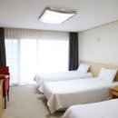 아르피나 이미지