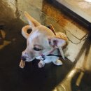 오룡역 8번출구 옆 이미지