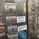 신비한동물원 이미지