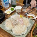 분당로263번길 | 서현동 횟집 추천 인생맛집 회짱포짱 내돈내산 광어회 후기