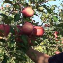 미루농원 이미지