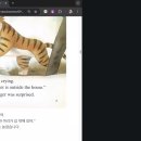 호랑이와곶감 Daum카페