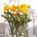 성심할인마트 이미지