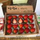 죽도봉 주차장 내 이미지