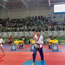 경희대 품희 태권도장 이미지