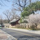 성균관대학교 이미지