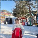 강한아이태권도장 이미지