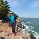 갈맷길(5코스) 이미지