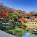 가을은 서울의 궁에도 찾아 옵니다. 이미지